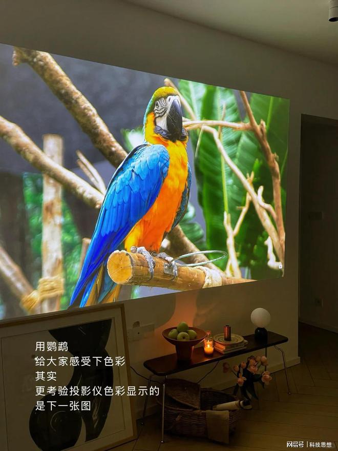 度排行榜：当贝F7 Pro稳居榜首pg电子中国2025家用投影清晰(图9)