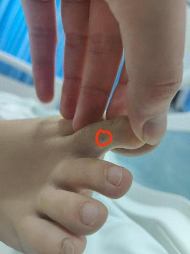 播回应质疑：没提任何索赔只希望调查清楚pg电子中文模拟器三亚